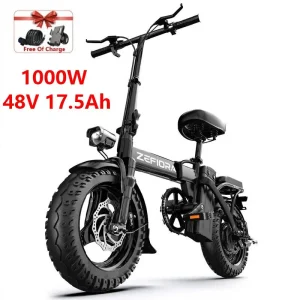 Adult Electric Bike