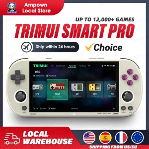 Handheld Video Game