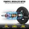 Sbd5a8d4b6758489fba8e091640b8171cM.webp